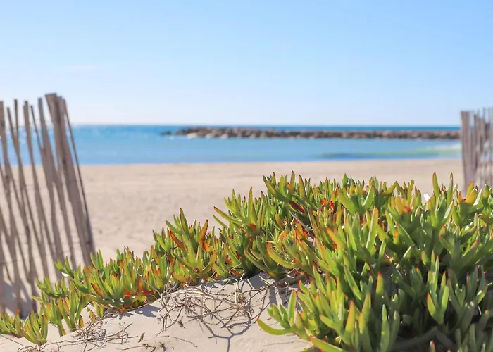 T2 Boheme Centre Ville Palavas Proche Plage